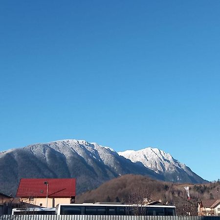 Piatra Craiului Residence Zărneşti Eksteriør billede